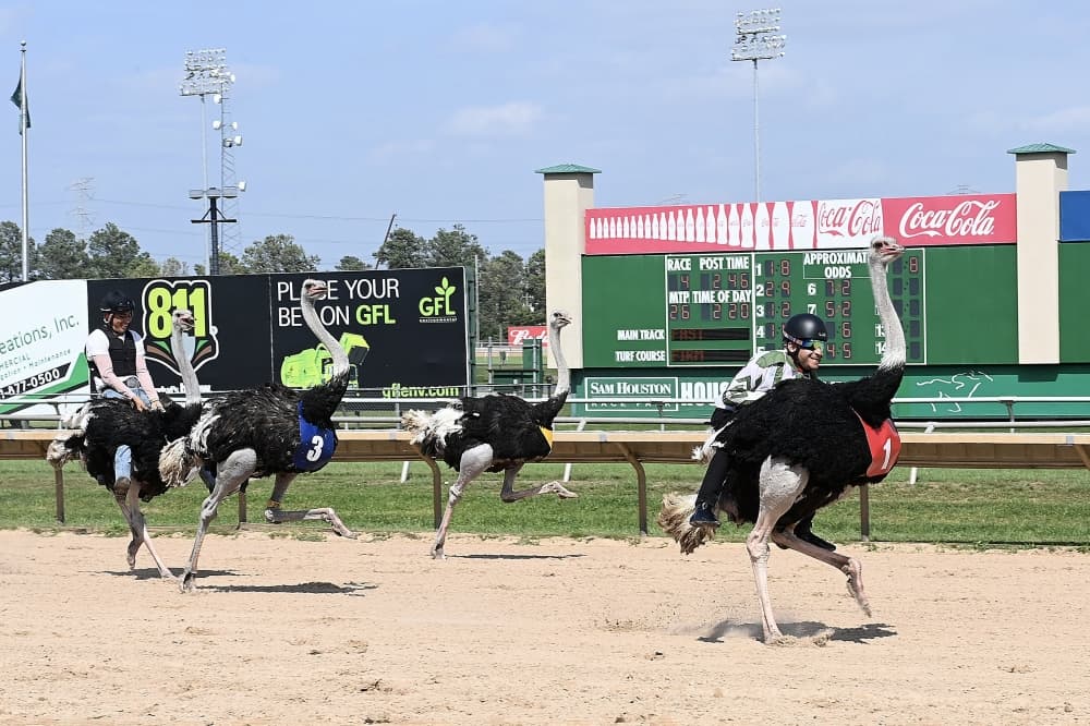 Sam Houston Race Park announces 30th season schedule