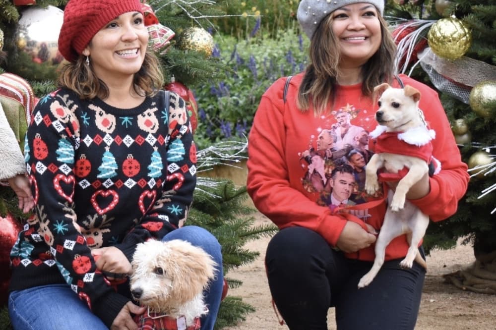 15 things to do around San Antonio on Dec. 7-13