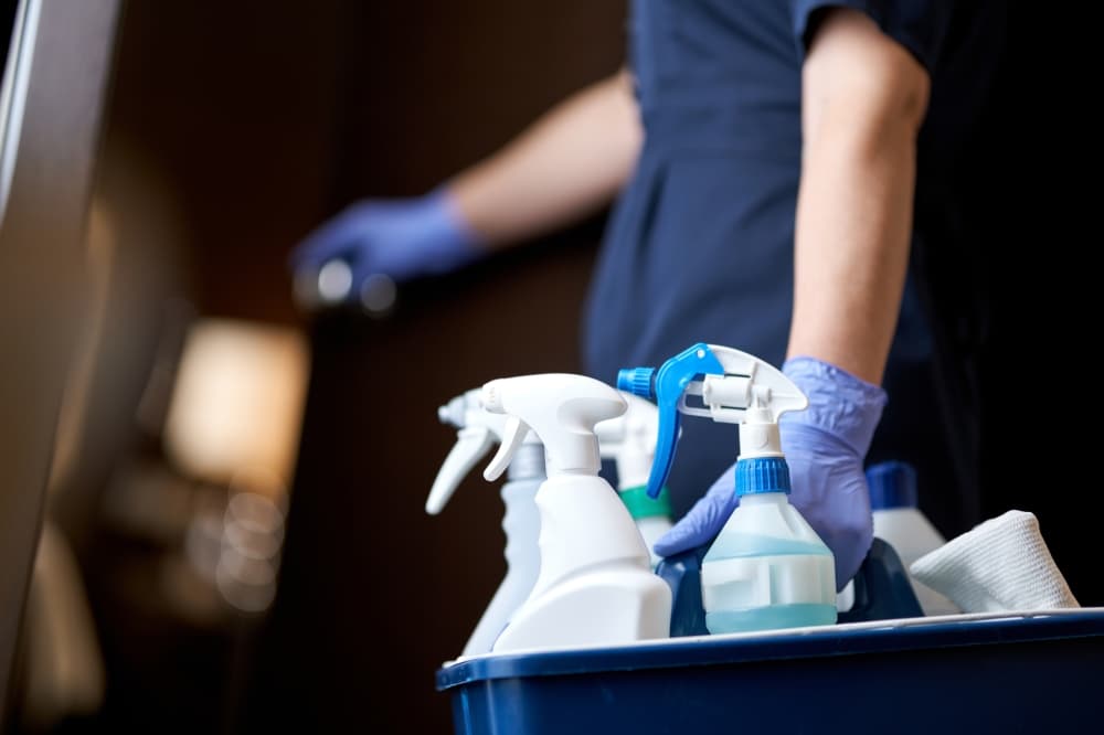 Make your house shine with The Duster Crew’s professional house cleaning service