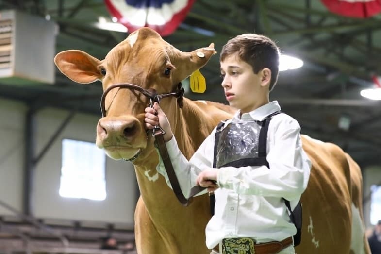 Check out 7 things to do in Grapevine, Colleyville, Southlake in January
