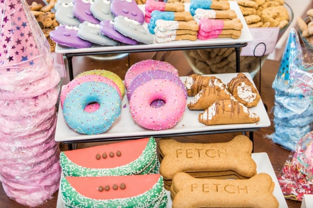 Woof Gang Bakery and Grooming coming to Southlake
