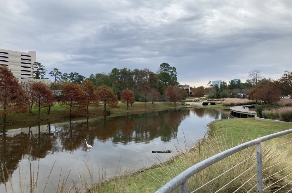 New community data in The Woodlands area shows shifts in demographics, education level