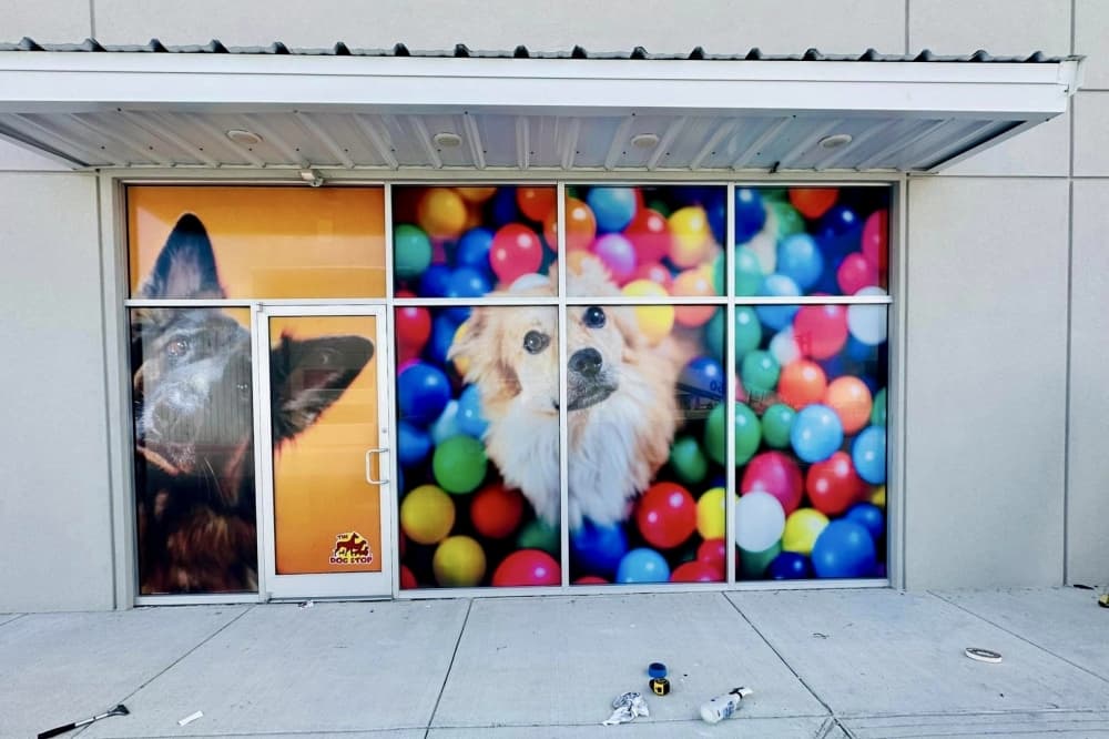 The Dog Stop coming soon to Katy 