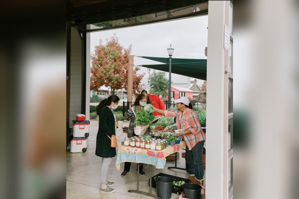 Vendor selling at Coppell Farmers Market