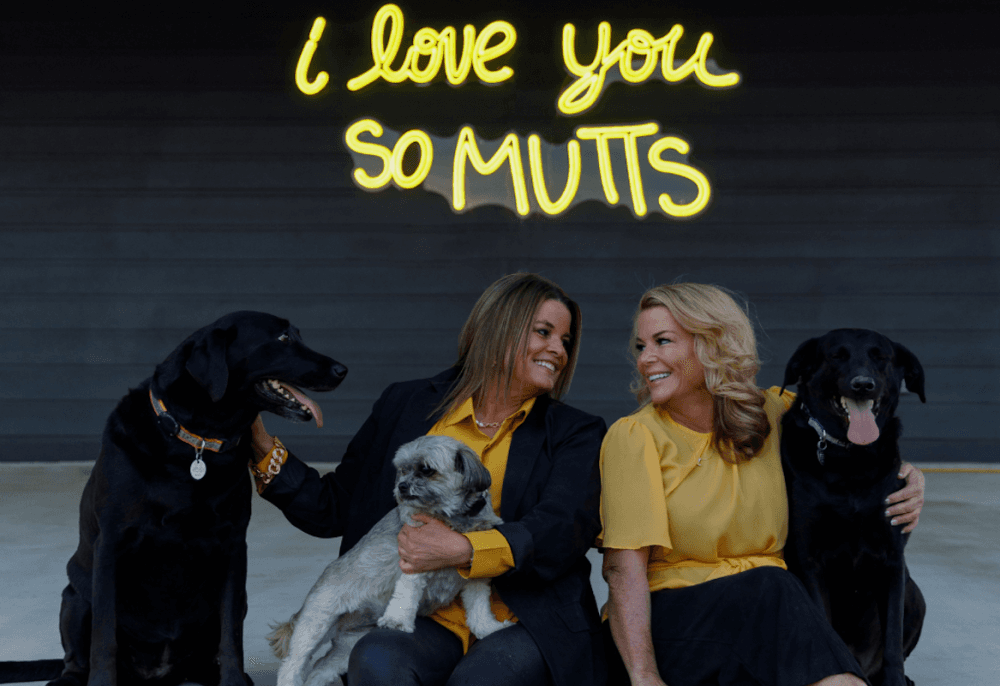 Vets, grooming services and other pet-centered businesses open in Austin's northwest suburbs