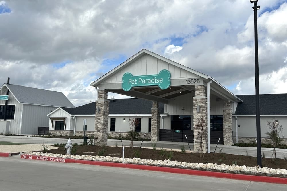 Pet Paradise now open in Dripping Springs