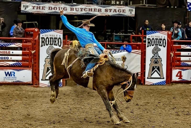 Humble Rodeo, Creative Cruise Camp: 7 Lake Houston-area events to attend in January, February