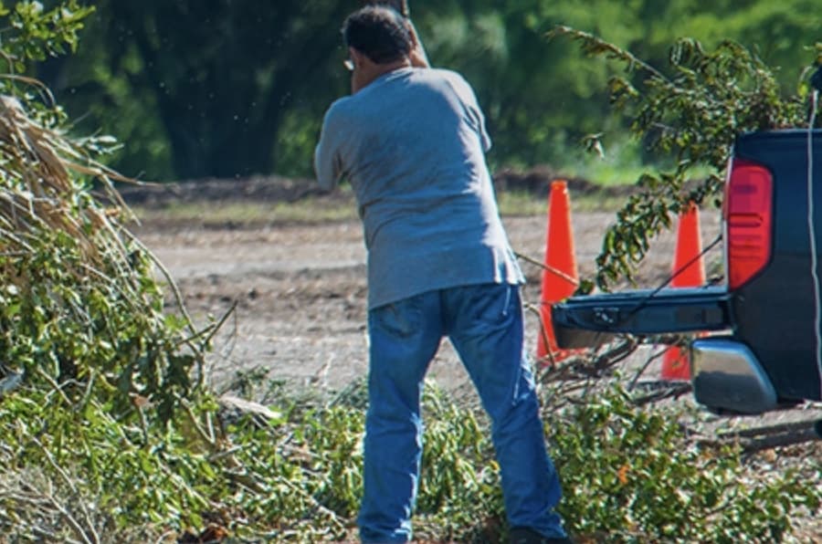 Here's where San Antonians can go to recycle Christmas trees