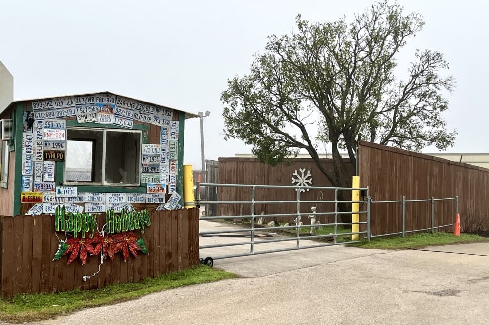 Christmas tree recycling event this weekend in Round Rock