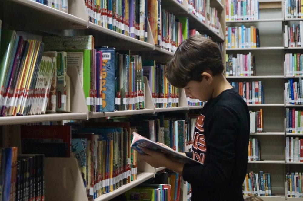 Federal appeals court blocks Texas library book rating law