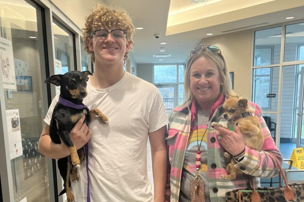 Pearland Animal Shelter & Adoption Center faces capacity challenges for medium, large dogs