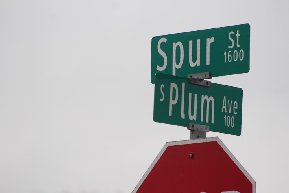 New Braunfels City Council moves forward with West End Area Master Plan