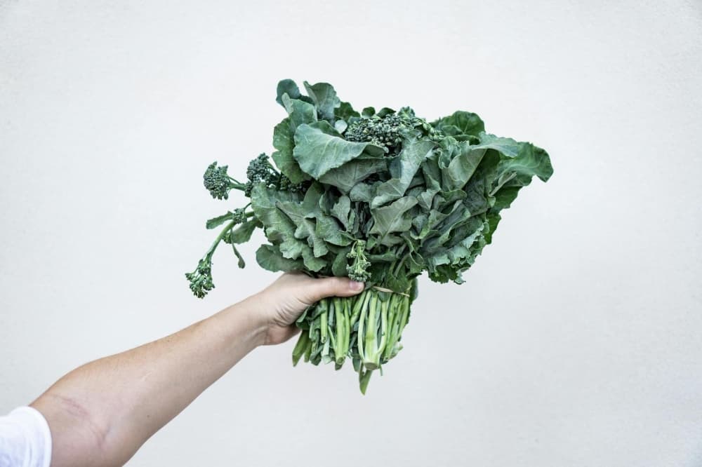 Season’s Harvest expanding presence in Cypress