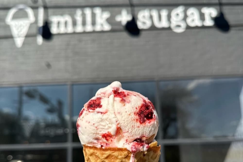 Milk + Sugar Creamery owners celebrate 5 years serving artisan ice cream in Montrose