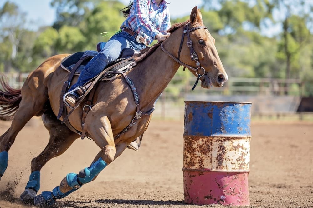 Celina ISD to lasso funds from new rodeo