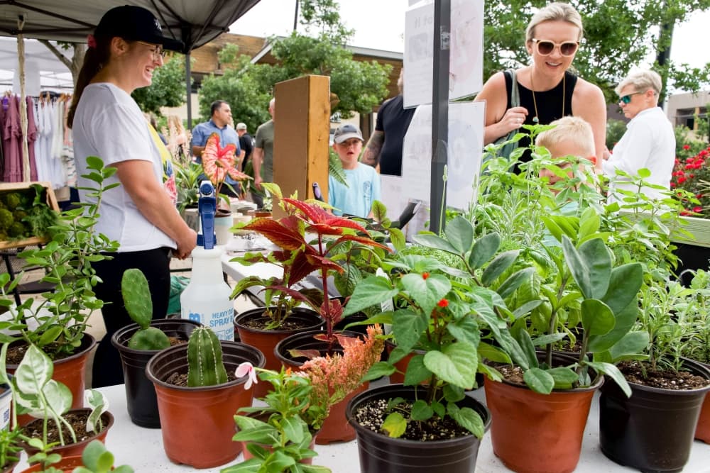 10 upcoming events in the Lake Travis-Westlake area