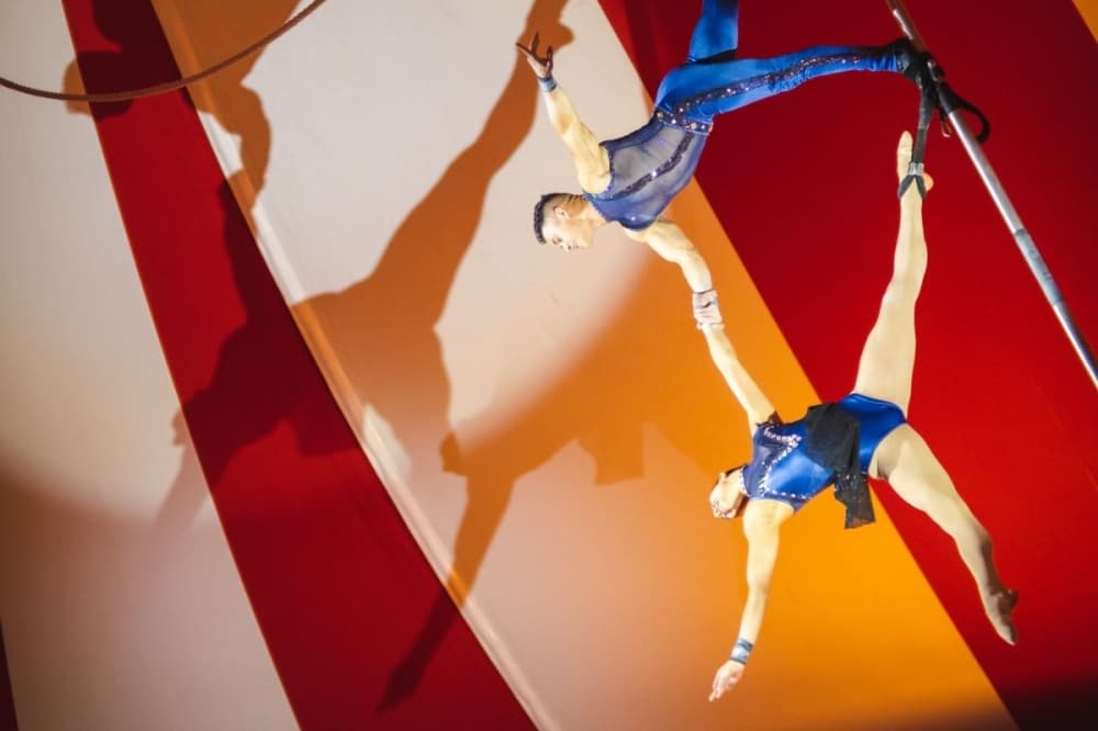 7 events to attend in Sugar Land, Missouri City in February