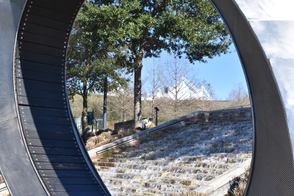 The Woodlands Township approves reforestation bid for 6,000 trees