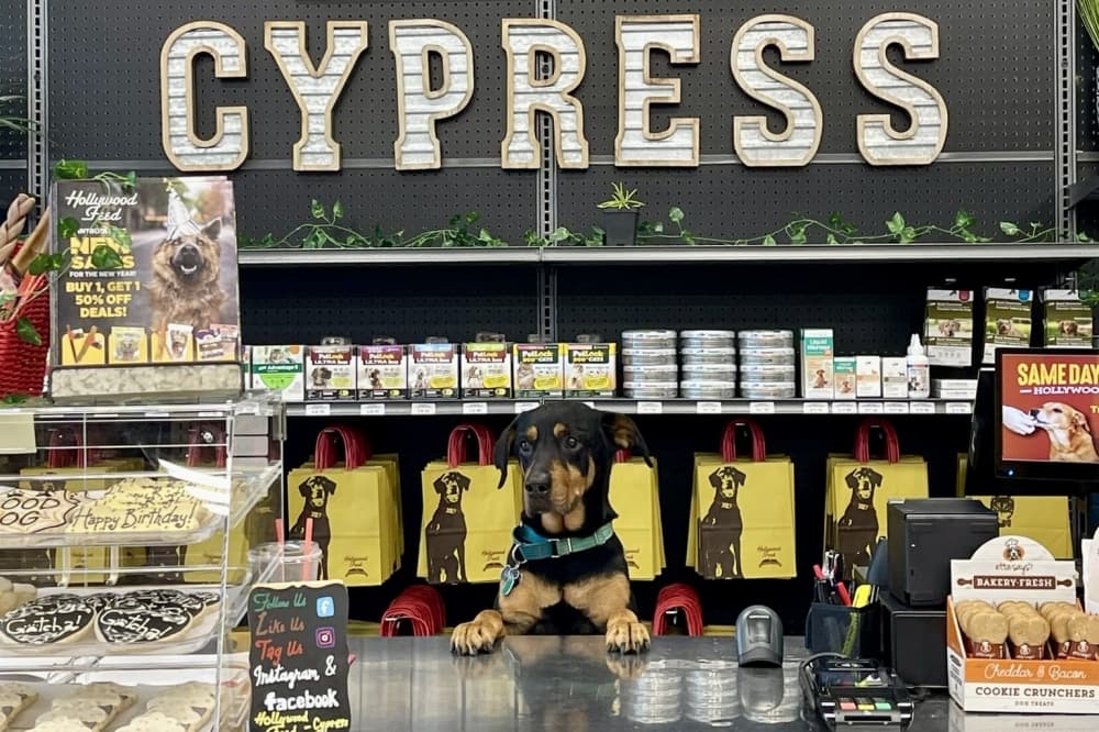 Hollywood Feed now offering pet food, supplies in Cypress 