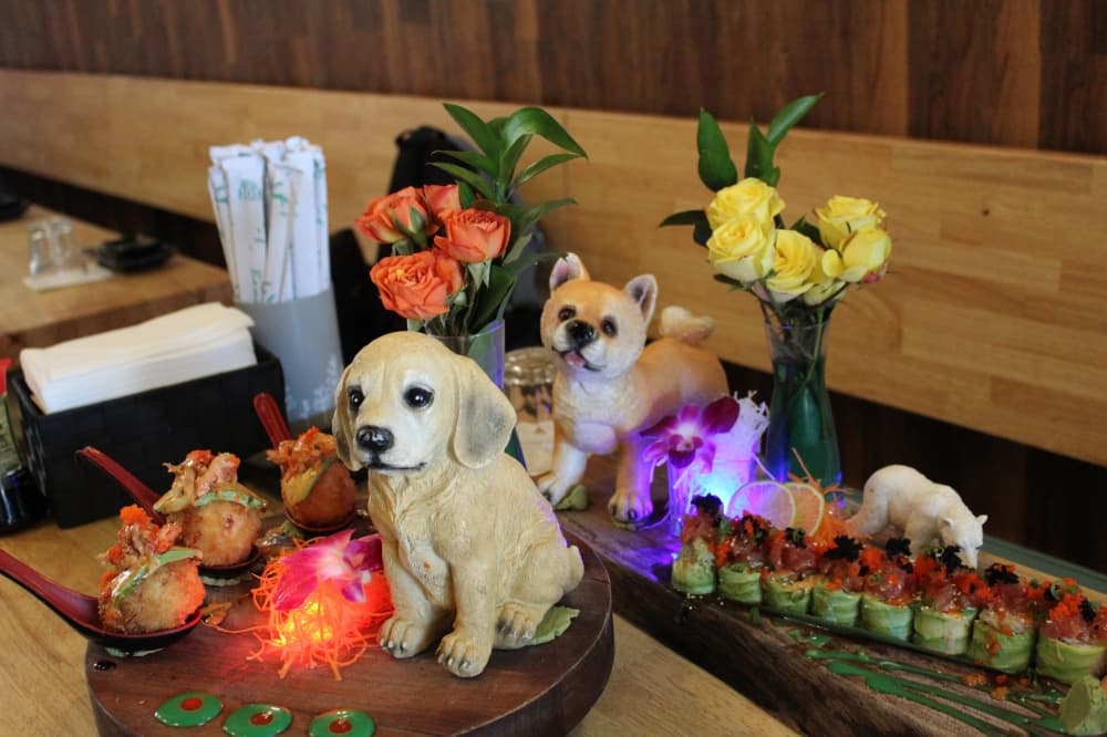 WO Sushi Fusion focuses on sushi quality and presentation