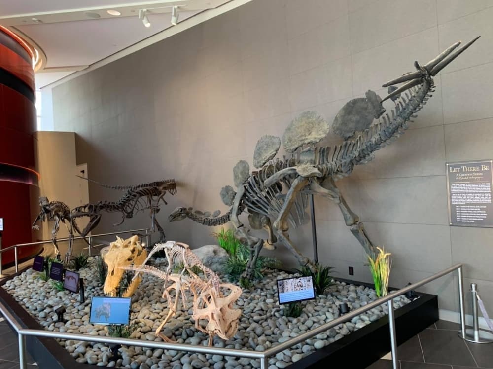 ICR Discovery Center offers unique volunteer opportunities, social connection for seniors