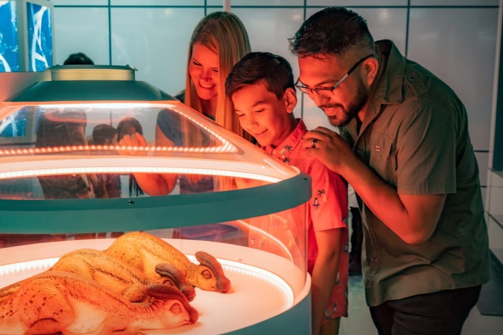 family looks at fake dinosaurs