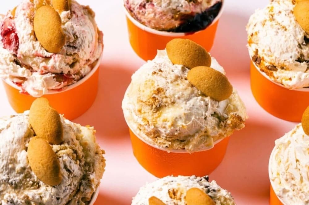5 new North San Antonio businesses to check out