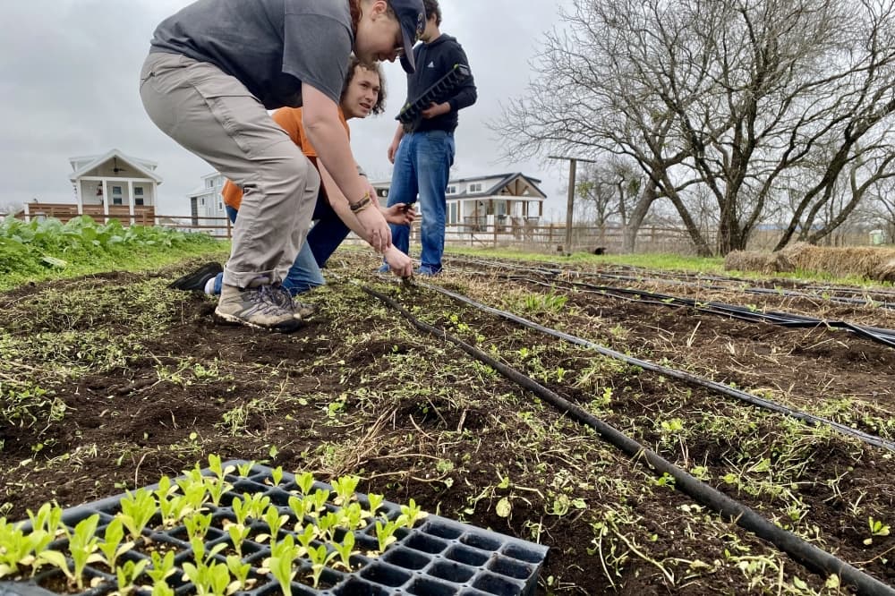 Green Gate Farms reimagines farmland preservation in Bastrop