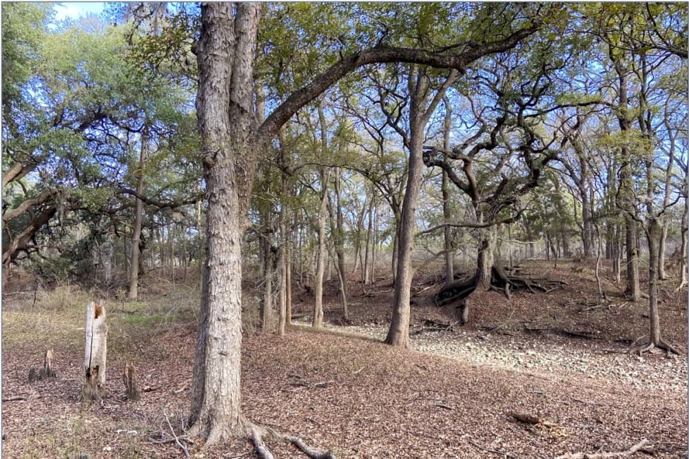 Photo of parkland
