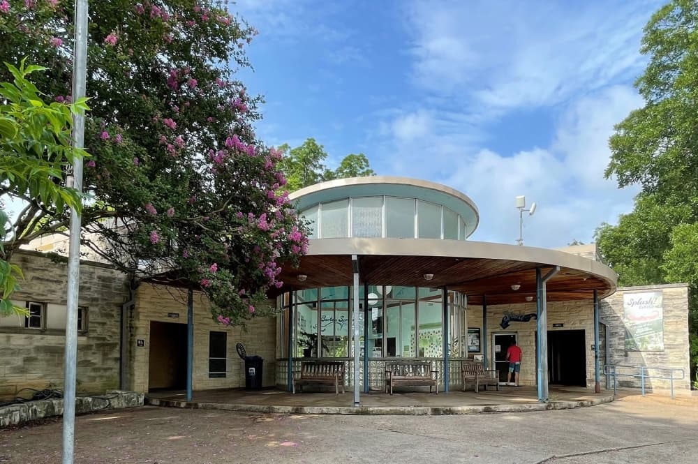 The latest on 7 South Austin businesses
