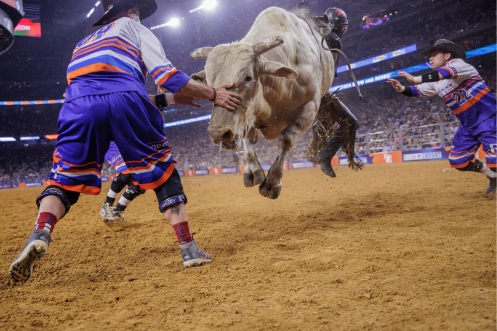 Hot Cheeto pizza, carnival additions, and all that’s new at the Houston Livestock Show and Rodeo