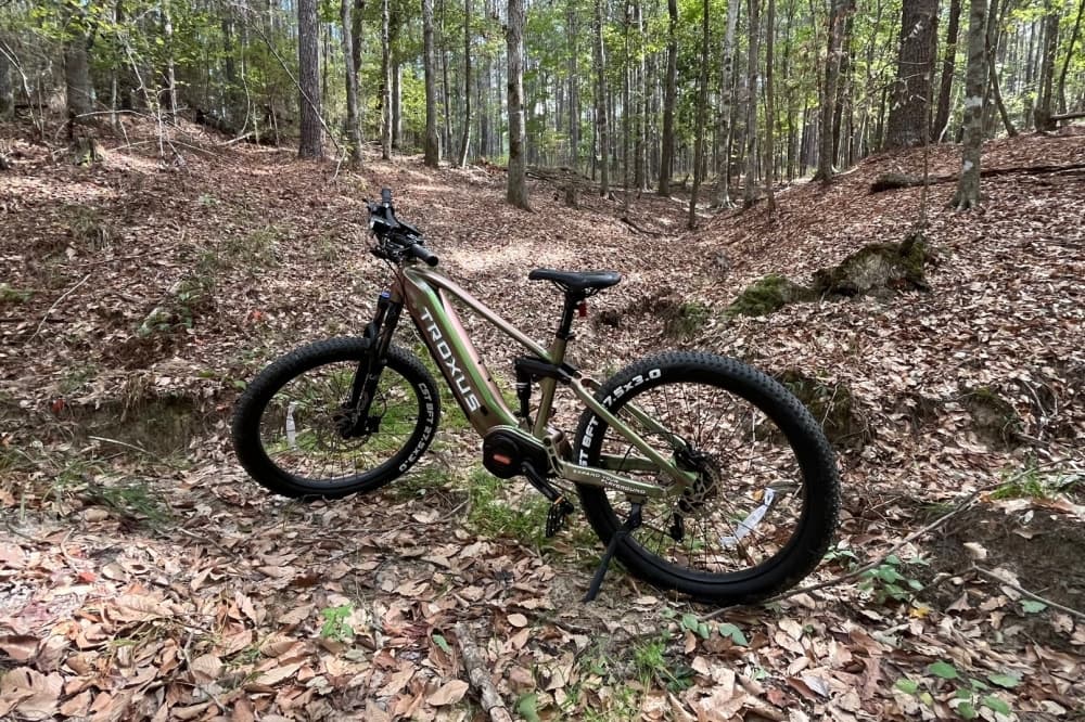 Bike in the middle of the woods