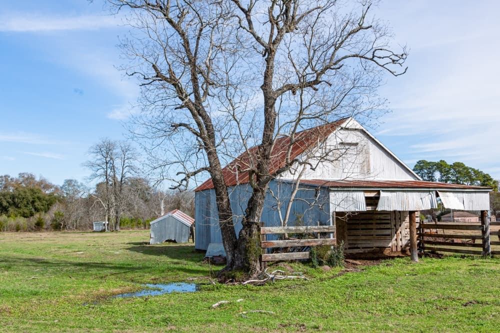 A barn next to a tree