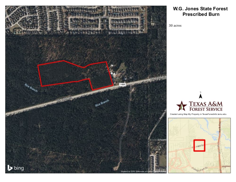 The Texas A&M Forest Service will be conducting a prescribed burning of 30 acres in the forest between Feb. 21-22. (Courtesy Texas A&M Forest Service)