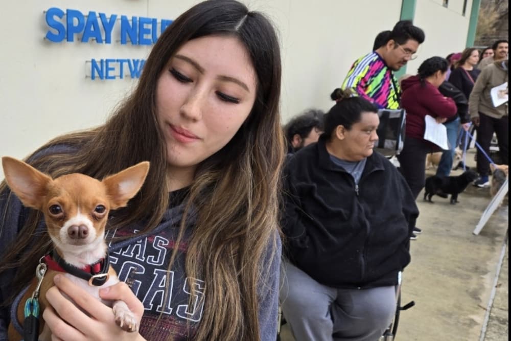 San Antonio council member proposes measure to aid renters and pet adoptions