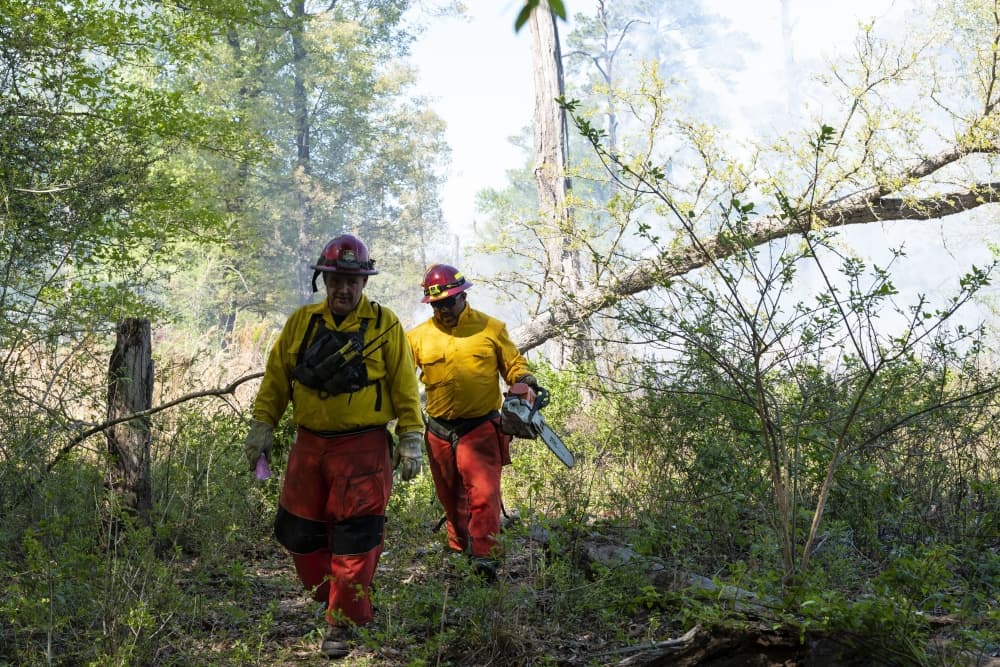 Houston Fire Department to conduct prescribed fire at Houston Arboretum