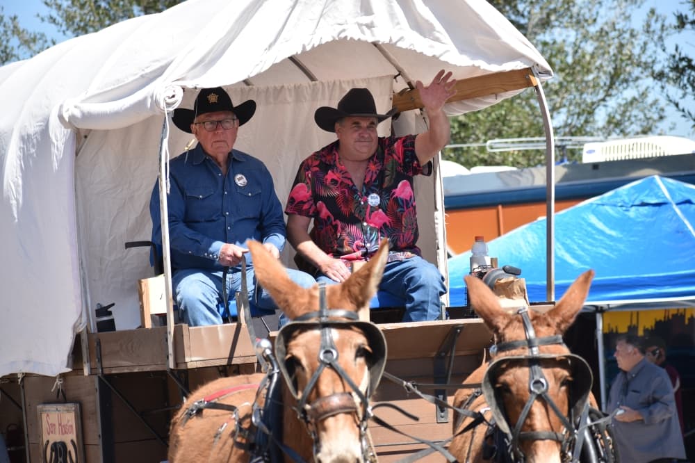 Two people on a horse-drawn wagon