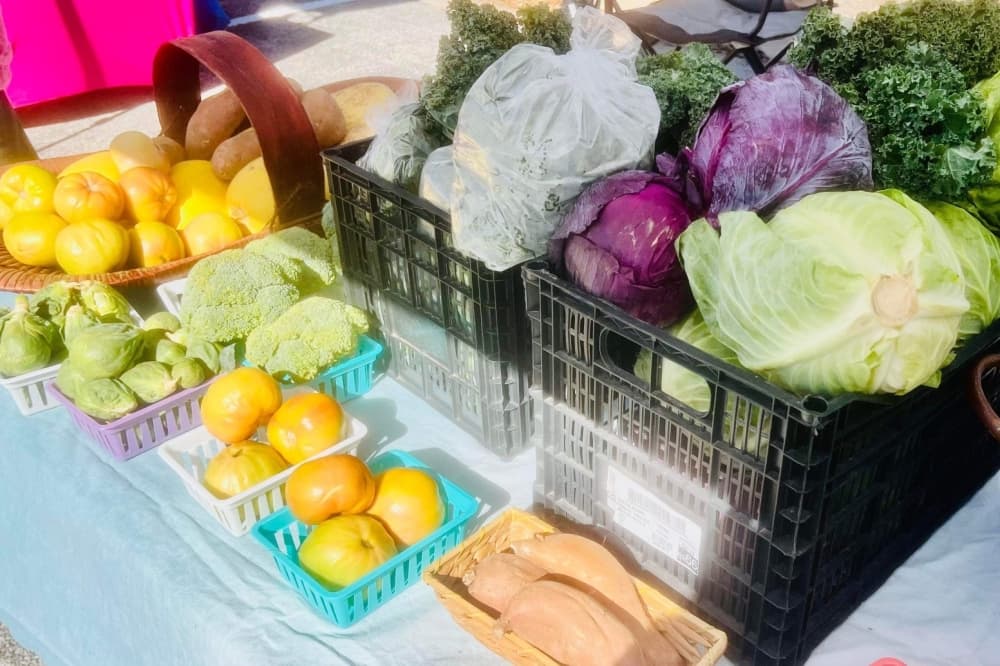 4 new farmers markets now open or coming soon in North, Northwest Austin