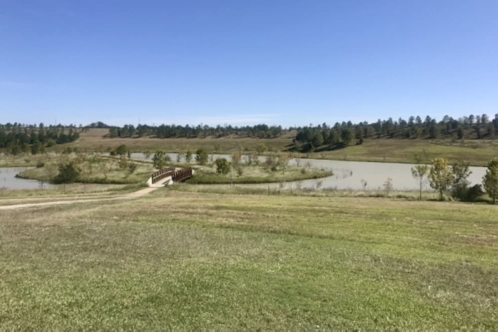 Construction set to begin this year on Spellman Detention Basin in Westbury