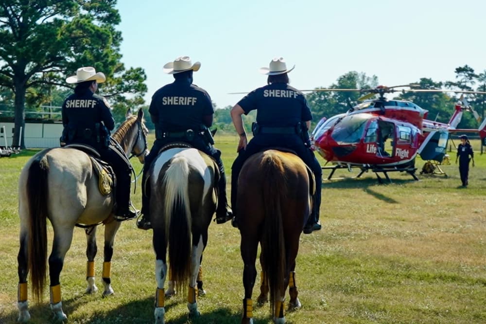 Law enforcement on horses 
