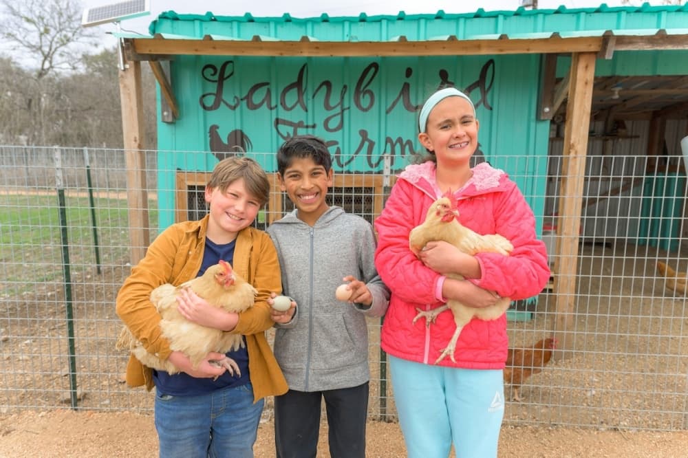 three children, two are holding chickens