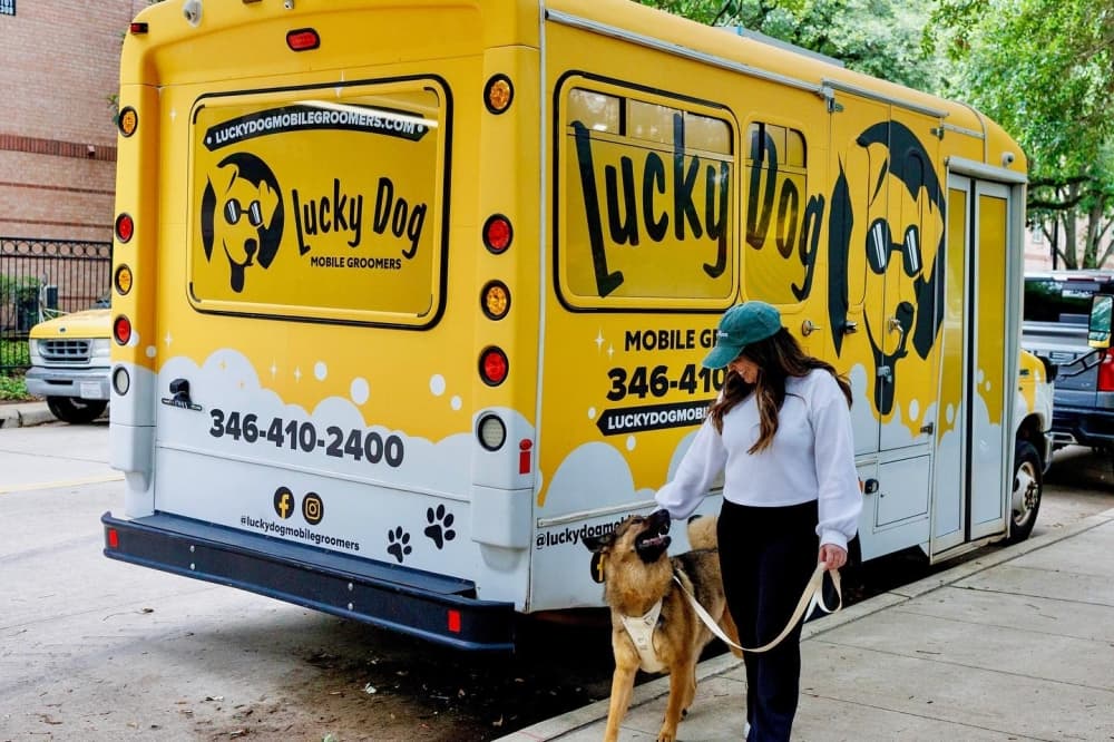 Lucky Dog Mobile Groomers debuts service in Austin