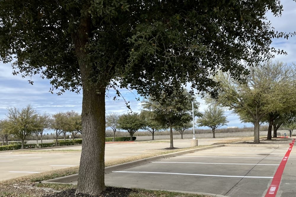 Frisco zoning commission recommends simplified landscape ordinances