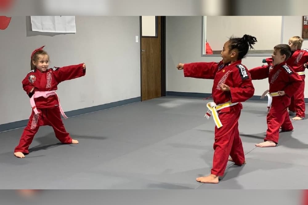 Professional Black Belt Academy to bring martial arts training to north Frisco