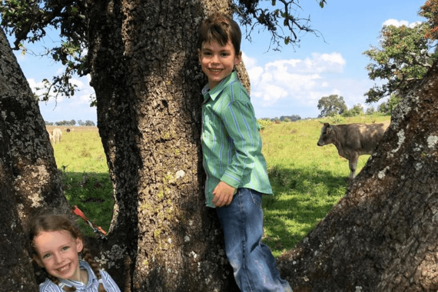 Redefining early education: Woodlands Forest School invites families to discover the academic benefits of nature, play and creativity