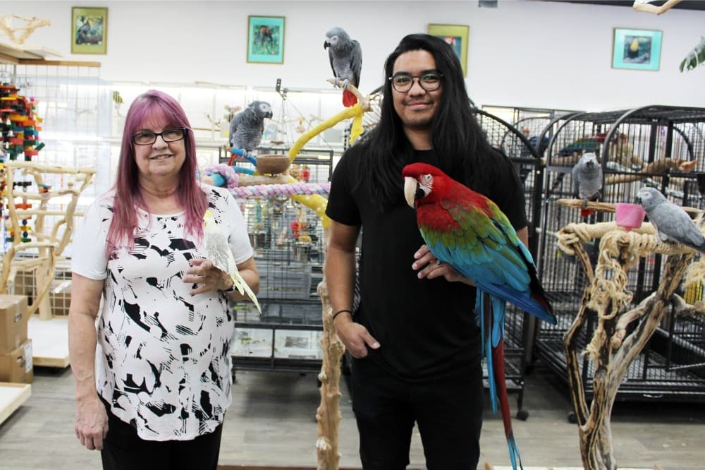 A woman, at left, with a man both have a bird perched on their arm in a bird store.