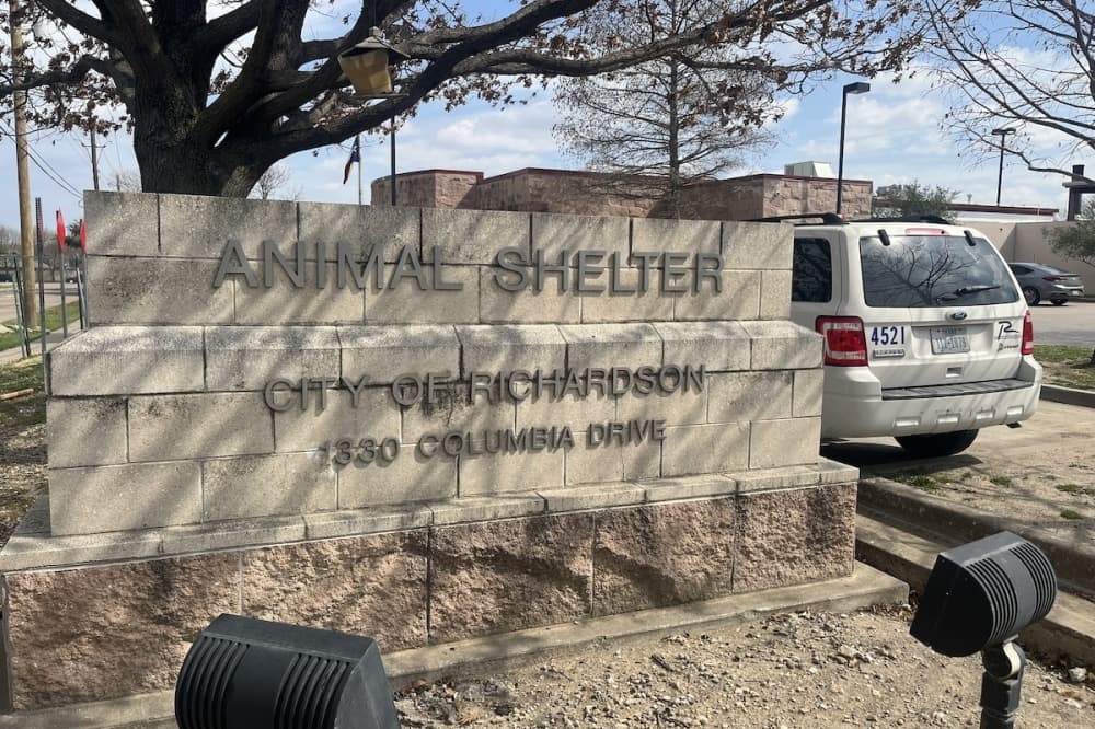 Richardson Animal Shelter closes through March 5 ahead of renovations