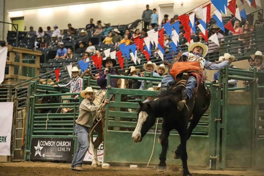 Cowboy on horse