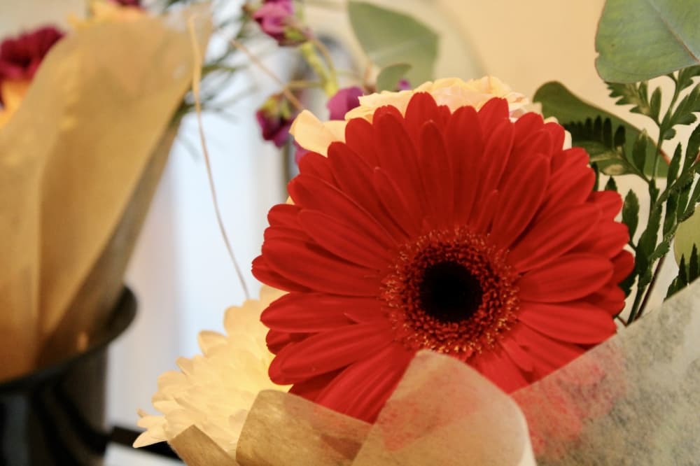 flowers
