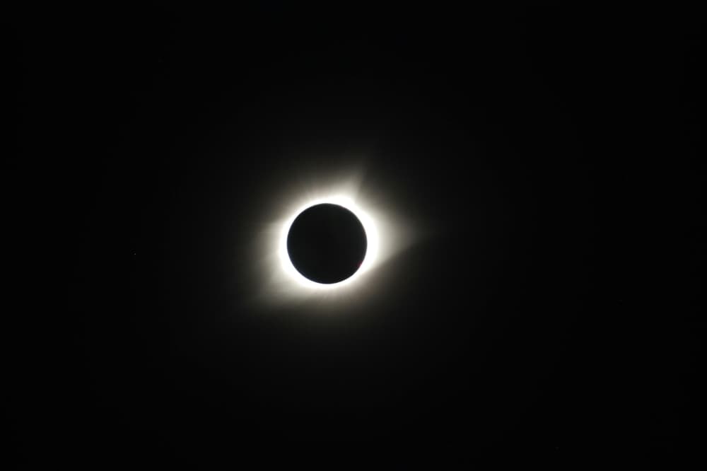What to know for the total solar eclipse in Williamson County